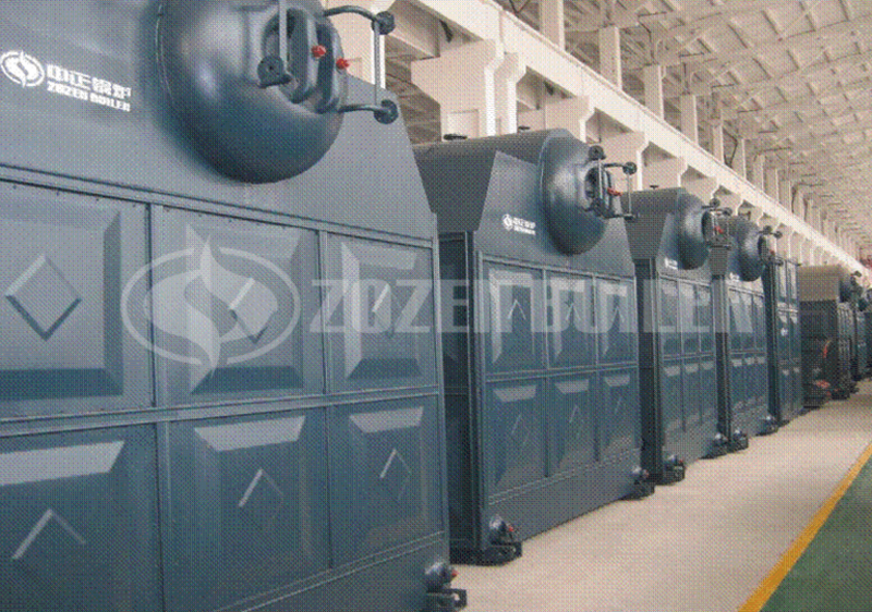 10 tph DZL biomass-fired boiler for heating