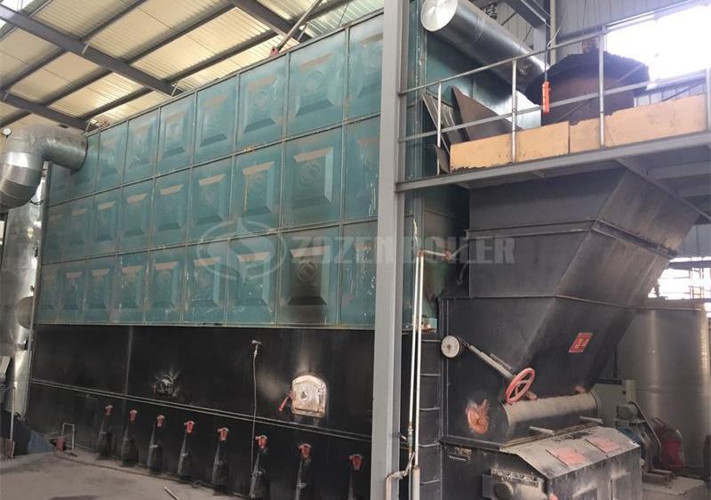 10 tph SZW biomass-fired steam boiler for pharmaceutical factory