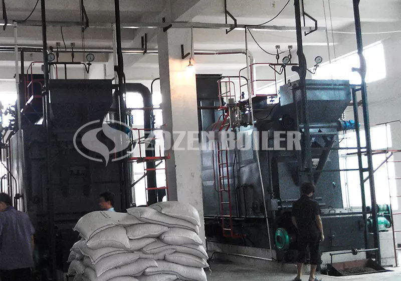 4 tph DZL biomass-fired steam boiler for feed factory