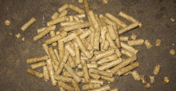 How are palm shell and fiber used as biomass fuel