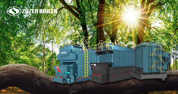 The Principle of Biomass Boiler Work