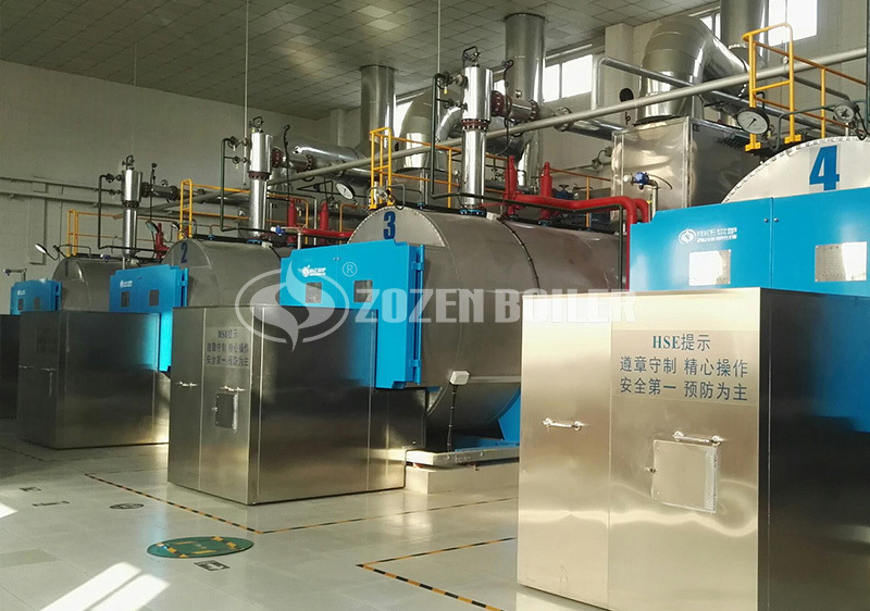 How does biomass boiler perform desulfurization and denitrification?