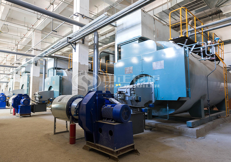Introduction of five major systems for biomass boilers