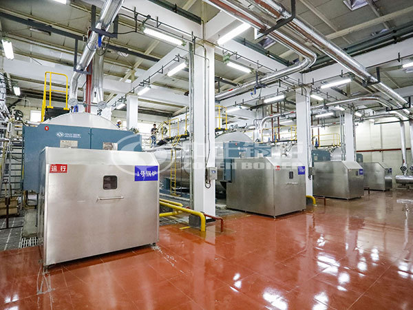 Impact of biomass boilers on energy saving and emission reduction