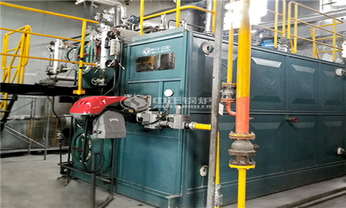 7 mw biomass equipment