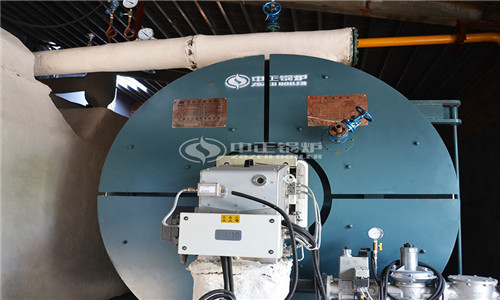 75 ton biomass power plant boiler