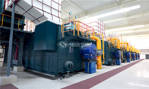 Quotation of 40 tons of biomass steam boiler