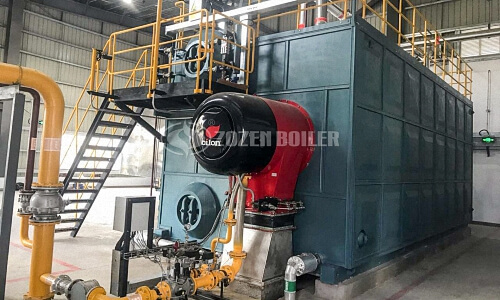 Biomass chain grate steam boiler manufacturer