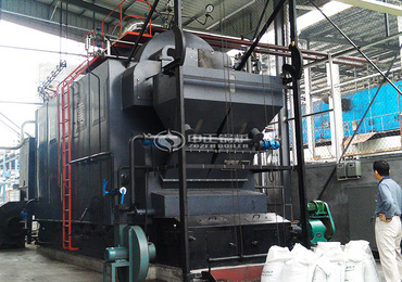 10 ton biomass steam boiler in Myanmar