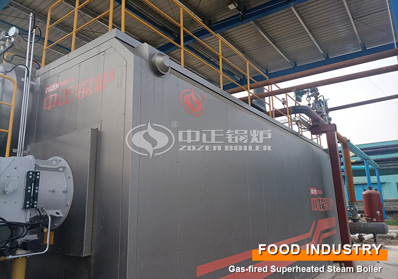 Biomass hot water boiler purchase skills