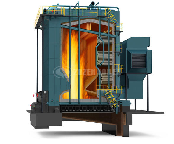 DHL Series Biomass-fired Steam Boiler