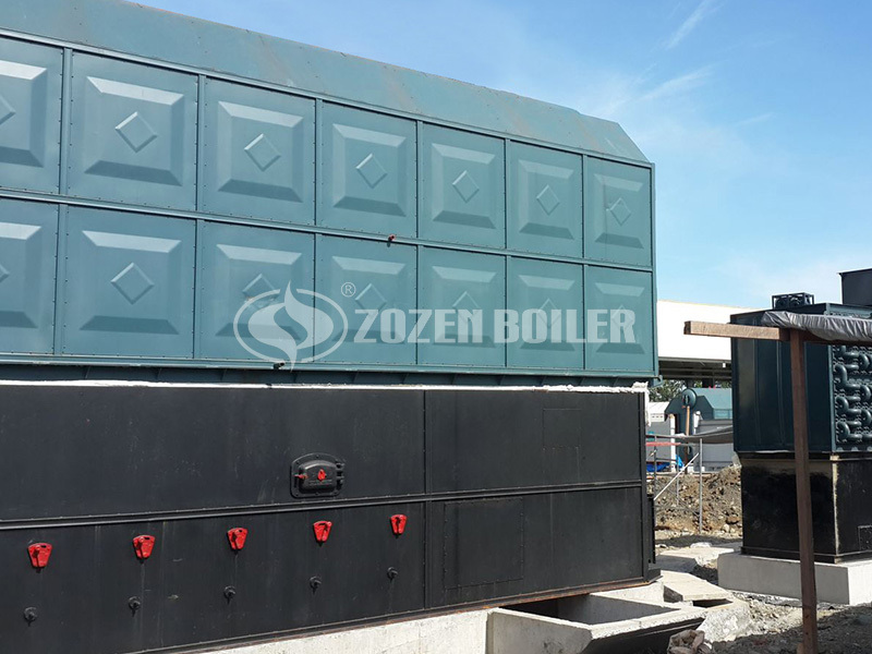 Standard process for 5 ton biomass steam boiler