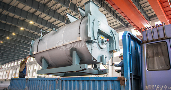 What is the difference between a biomass steam boiler and a biomass hot water boiler