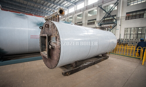Biomass boiler 60 ton hr