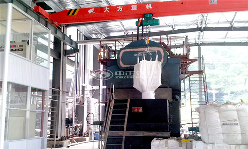 What is 25 hp biomass boiler price