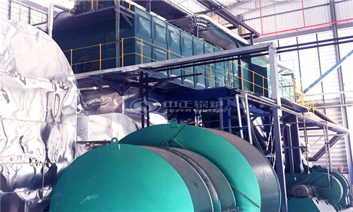 10t/h biomass steam boiler technical parameters, price and installation size