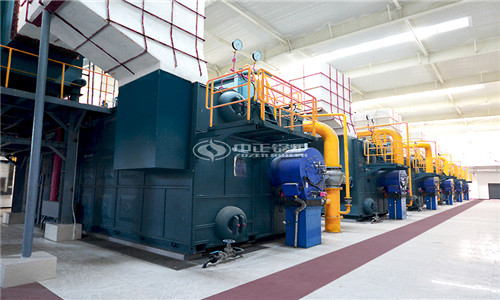 Quotation of 40 tons of biomass steam boiler