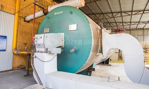 What are the performance advantages of 75 tons of biomass boiler