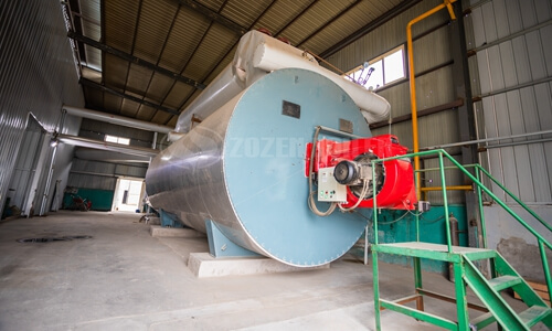 75t biomass medium temperature and pressure boiler