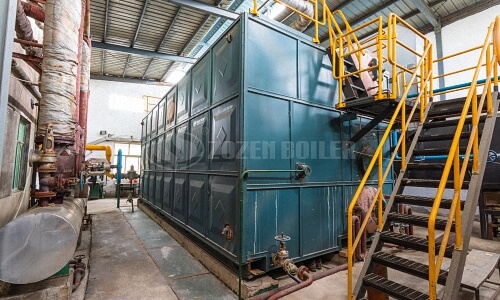 Biomass steam boiler used in gas supply and heating